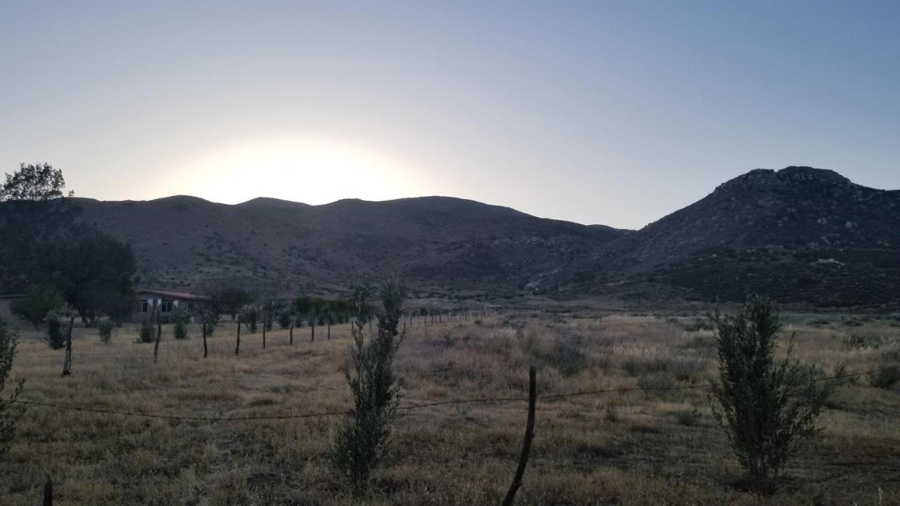 Cabanas Los Laureles Ruta Del Vino Bc Ensenada Kültér fotó